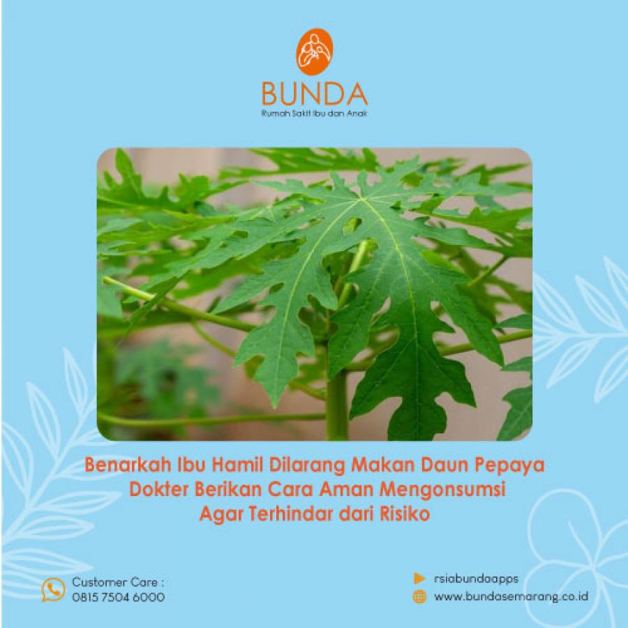 Benarkah Ibu Hamil Dilarang Makan Daun Pepaya? Dokter Berikan Cara Aman Mengonsumsi Agar Terhindar dari Risiko
